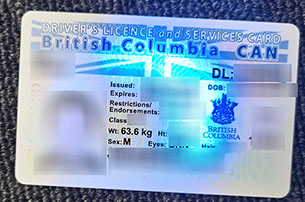 British Columbia fake driver license
