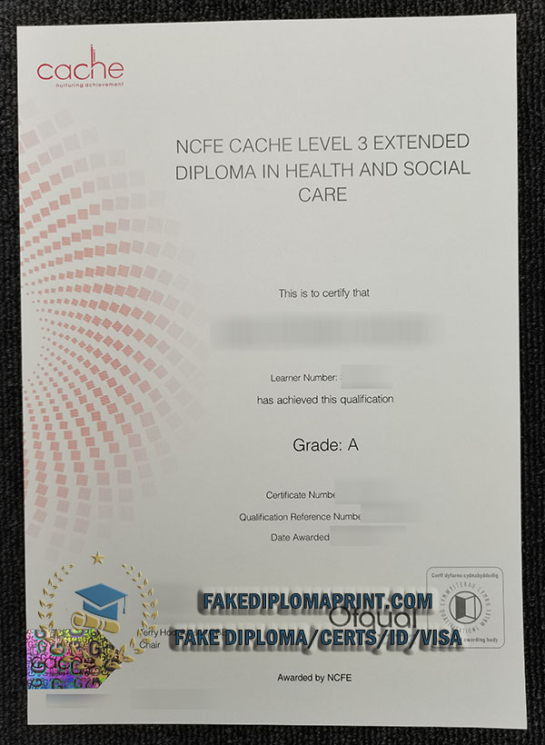 CACHE level 3 certificate