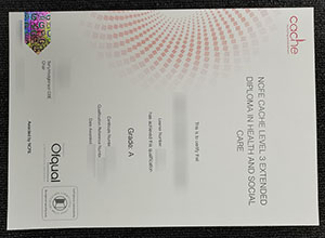 CACHE level 3 fake certificate