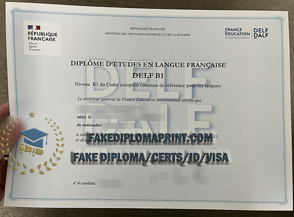 DELF B1 certificate