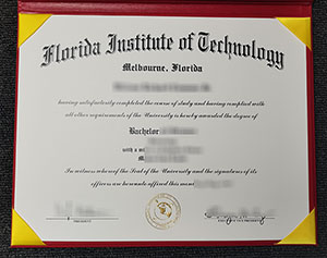 FIT degree