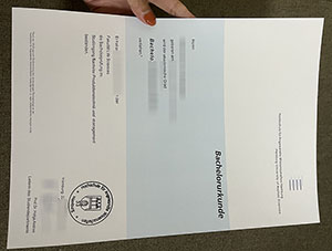 Hamburg University diploma