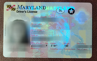 Maryland fake Driver license