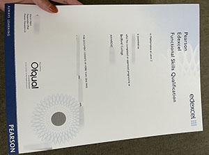 Pearson Edexcel FSQ level 2 certificate