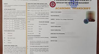 What is the reason to buy fake PU academic transcript?