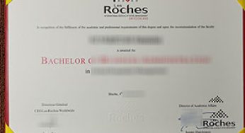 Les Roches certificate fake,making the Switzerland Les Roche degree