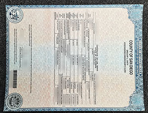 San Diego birth certificate fake