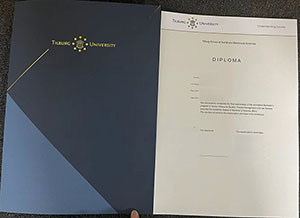 Tilburg University diploma fake