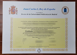 UPM fake diploma