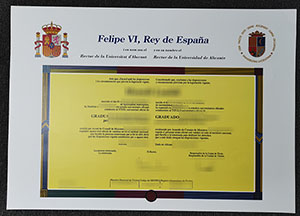 University of Alicante diploma