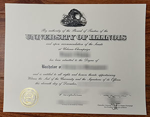 University of Illinois degree