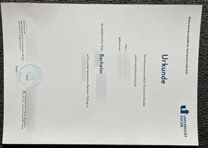University of Siegen diploma