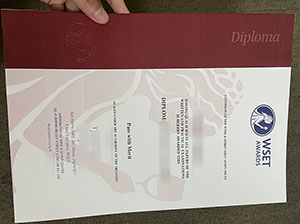 WSET diploma fake