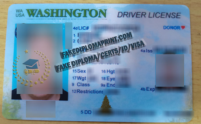Washington driver license