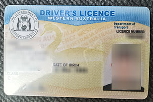 Western Australia fake Driver licence
