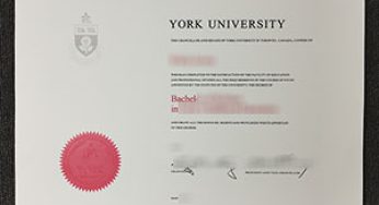 Amazing site to do the fake YU diploma online