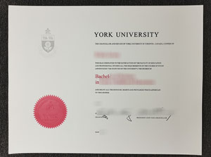 York diploma