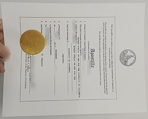 Columbia Apostille certificate