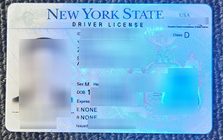 New York State fake Driver License