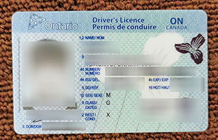 Ontario Driving license fake
