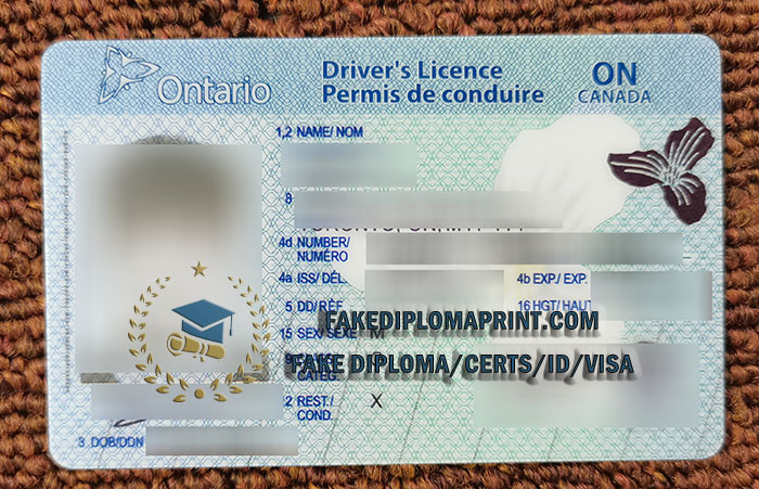 Ontario Driving license