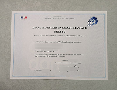 DELF Certificate