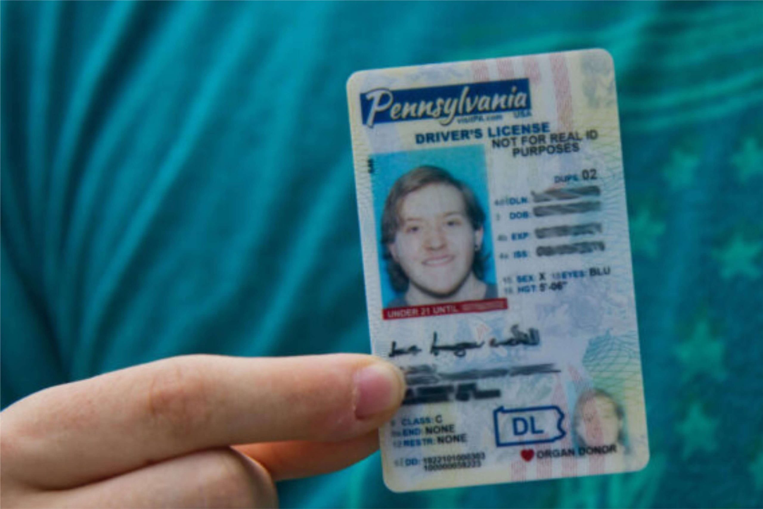 fake ID drvier license