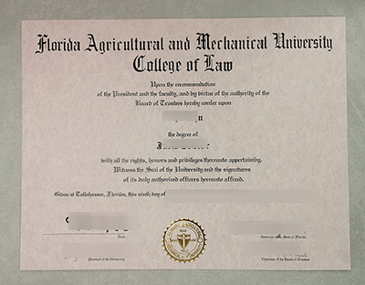 Fake FAMU Diploma