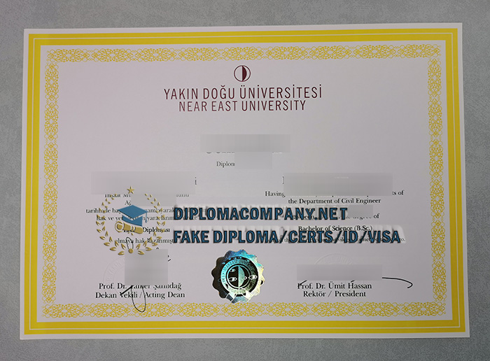 Near East University diploma