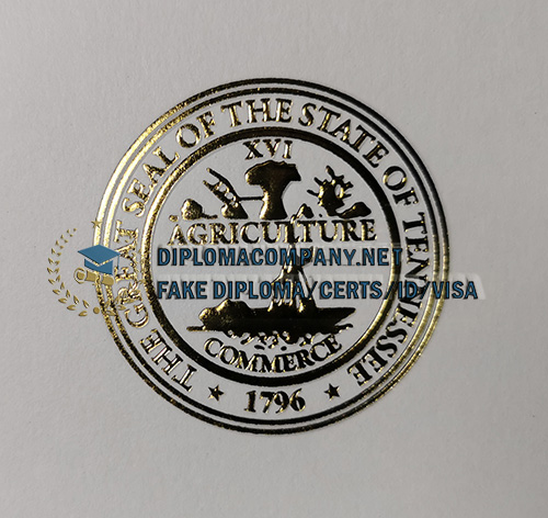 Tennessee Tech Diploma seal