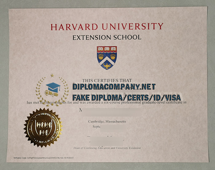 Fake HES Diploma