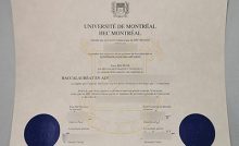 fake UdeM Diploma
