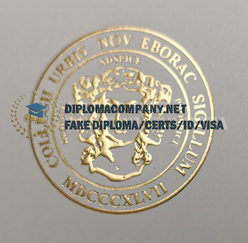 City College of New York Diploma seal
